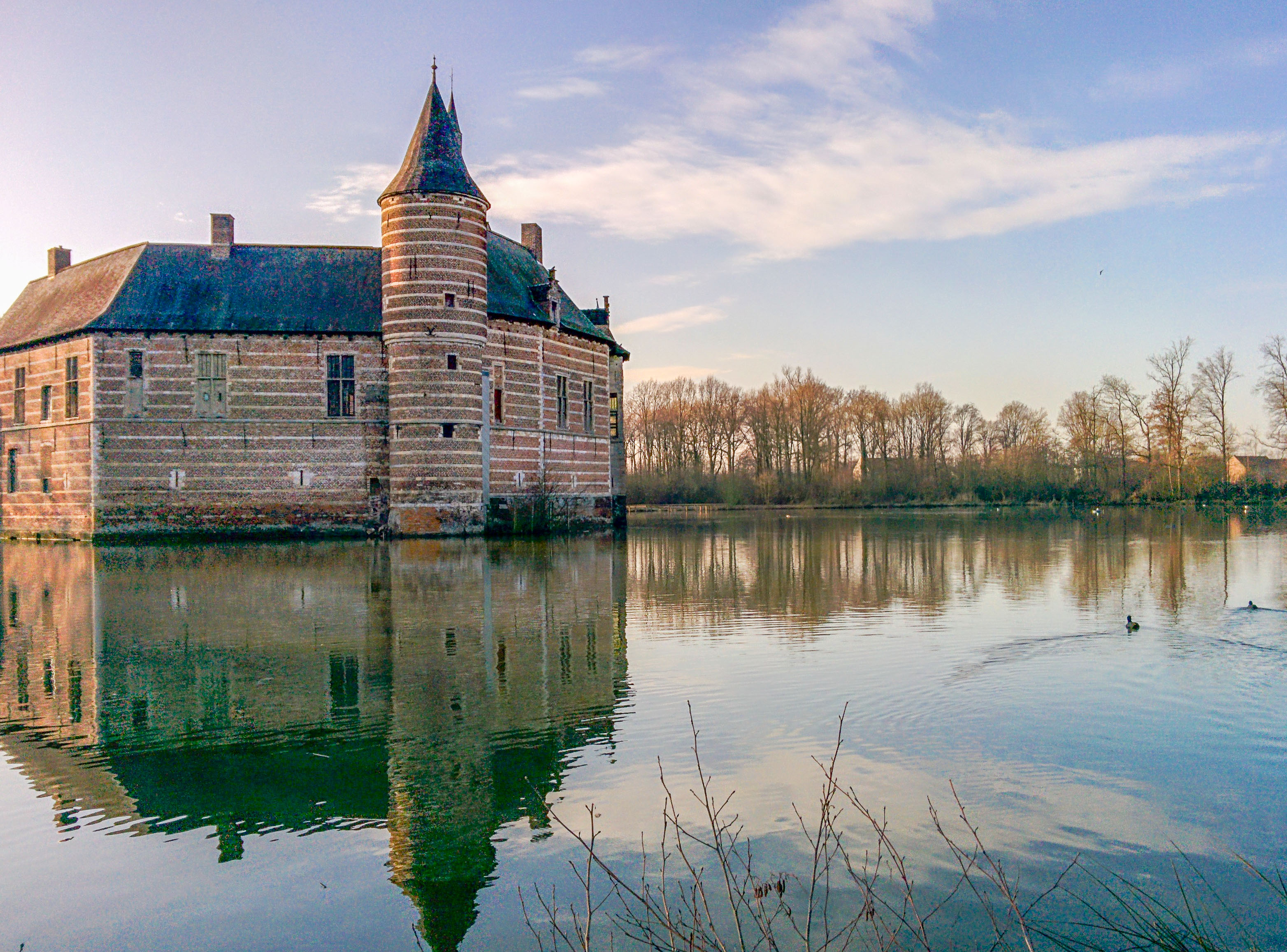 Wandeling doorheen de omgeving van het Kasteel van Horst (7 km) - Effen