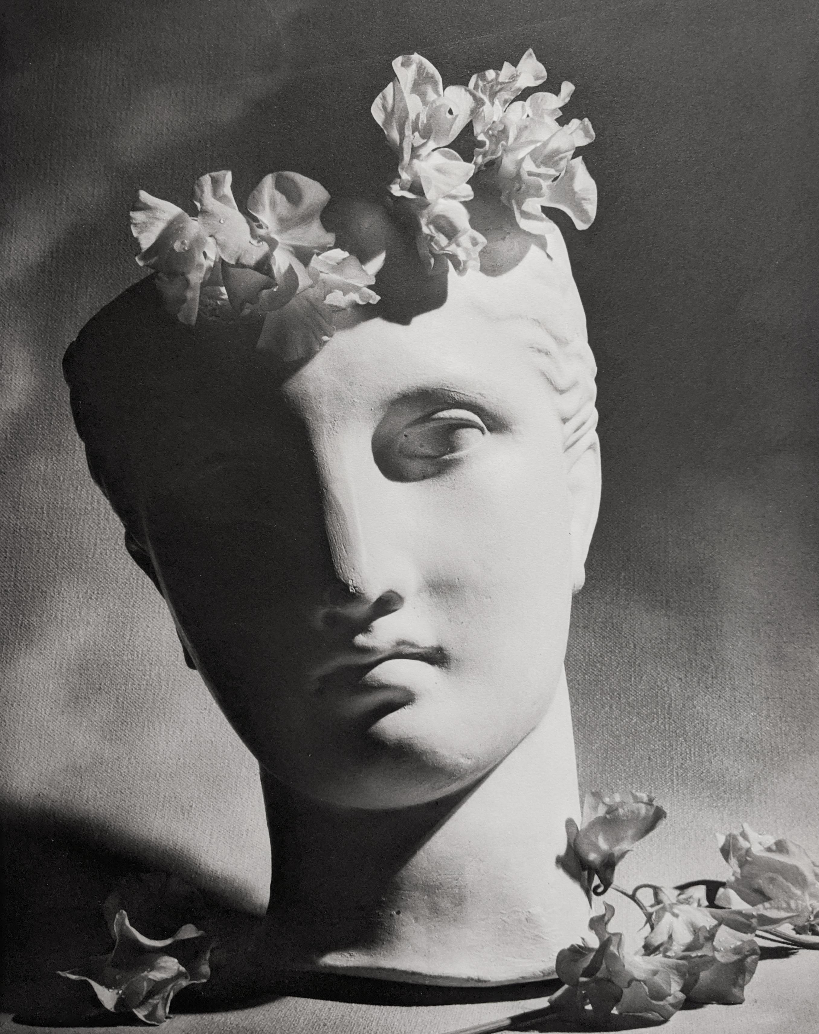 Horst P. Horst - Nautilus, (1970-1980) For Sale at 1stDibs